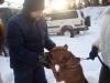 Нажми для просмотра dsc01294_t1.jpg