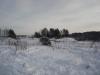 dsc01340_t1.jpg